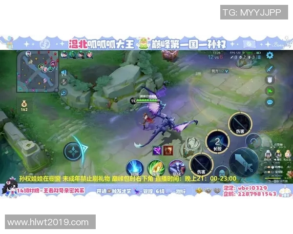 陈丽专访：从初出茅庐到荣耀巅峰的王者荣耀成长之路